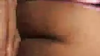 زبربلاستك