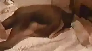 جبهة مورو شقراء عاطفي في جوارب سوداء هو سخيف أخي زوجها، في حين أن صديقته تعمل